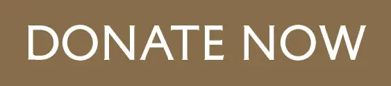 Donation Button